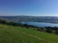Beinwil am See, Reinach, Beromünster, Beinwil, Merenschwand, Uitikon, Zürich, Zumikon,Gossau ZH_18